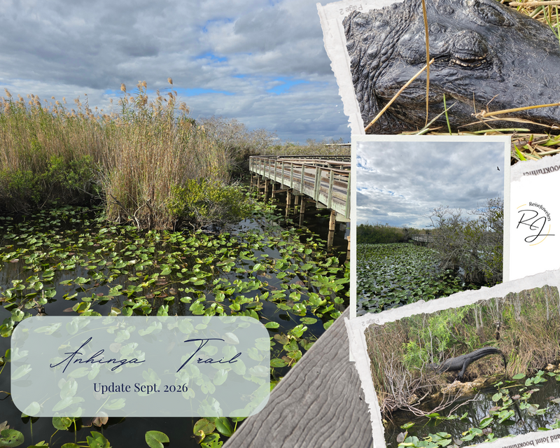 Anhinga Trail bei Tageslicht im südlichen Teil der Everglades im Februar 2026