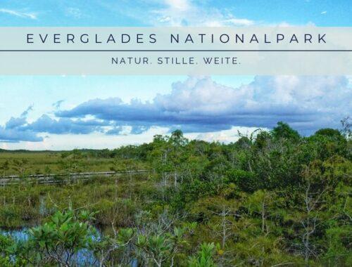 Titelbild Everglades Nationalpark Florida – weite Landschaft mit grüner Sumpfvegetation, Holzsteg und dramatischer Wolkenkulisse