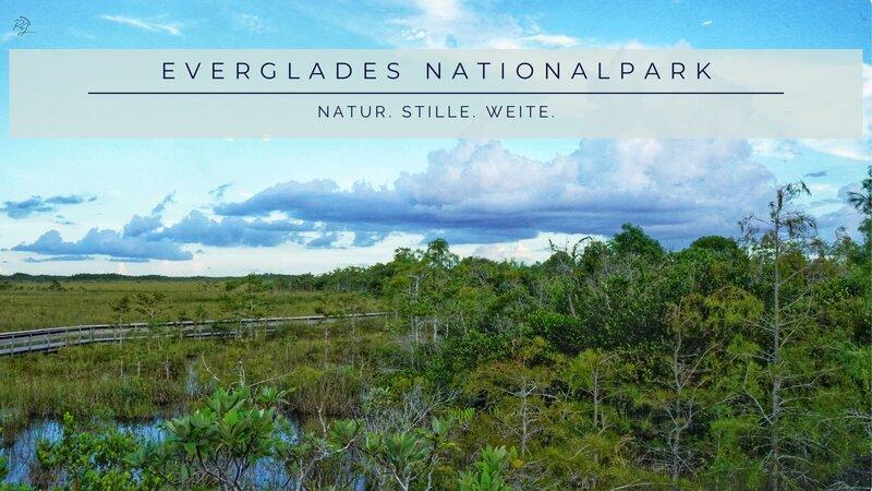 Everglades Nationalpark Florida – Natur, Stille und Weite