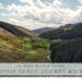 Blick ins Tal der Wicklow Mountains in Irlands Osten – sattgrüne Landschaft, dichte Wälder und ein kurviger Fluss im Sonnenlicht.