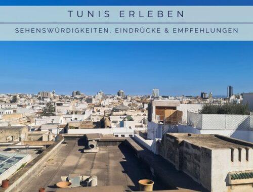 Blick über die Dächer der Medina von Tunis bei Sonnenuntergang – goldrosa Himmel über Moscheen und weißen Kuppeln, die die orientalische Atmosphäre der Stadt einfangen.