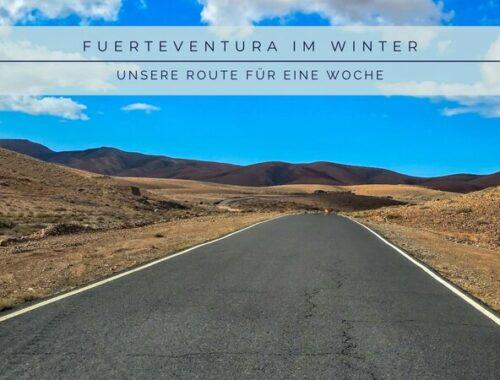 einsame straße im Hinterland von Fuerteventura umgeben von sanften Hügeln im Sonnenschein