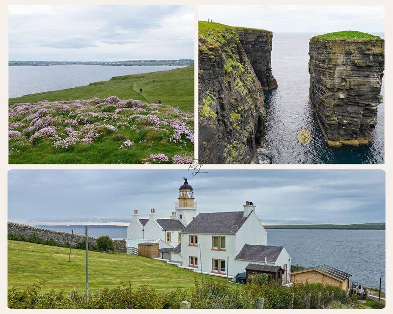 Küstenwanderung bei Scrabster: Blick auf die blühenden Klippen, den Clett Rock und den Holborn Head Lighthouse – ein Highlight auf eigene Faust.