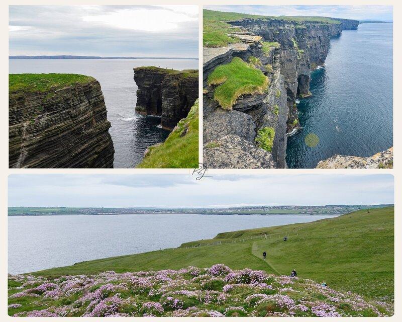 Dramatische Klippen rund um den Clett Rock bei Scrabster, darunter ein farbenfrohes Blumenmeer mit Blick auf die Bucht und das Hinterland.