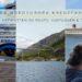 Titelbild zur AIDA Nordeuropa Kreuzfahrt FAQ mit Collage aus AIDAbella am Hafen, Brücke in norwegischer Fjordlandschaft und Passagierin beim Fotografieren der Queen Mary 2.