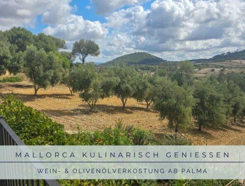 mallorca-wein-olivenoelverkostung-ab-palma