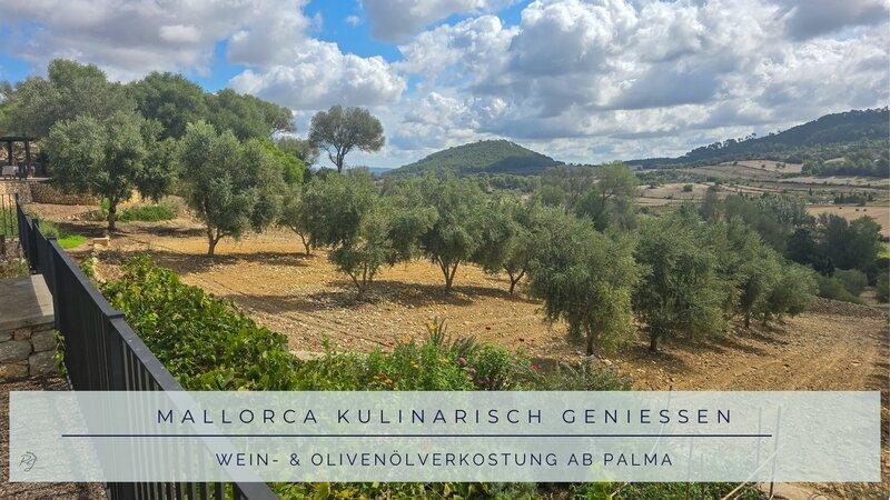 mallorca-wein-olivenoelverkostung-ab-palma