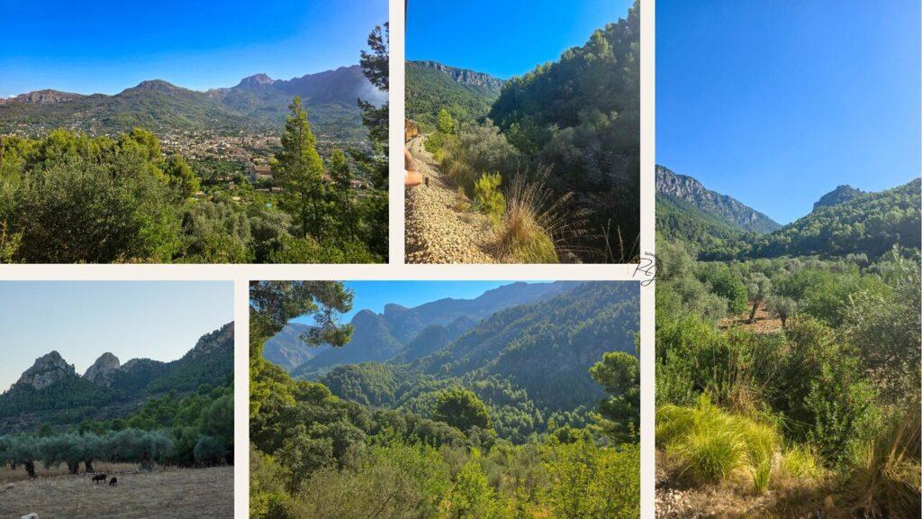 Blick aus dem Tren de Sóller auf die Landschaft und Olivenhaine im Tramuntana-Gebirge bei Sóller