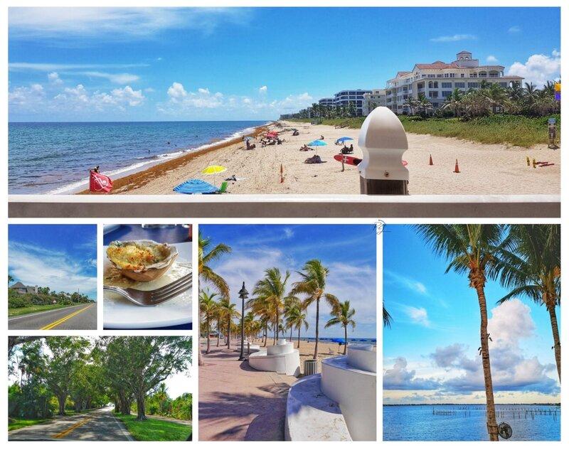 Strände und Palmen in Palm Beach County und Stuart – entspannte Stopps mit Küstenflair auf einem Florida Roadtrip entlang der Ostküste.