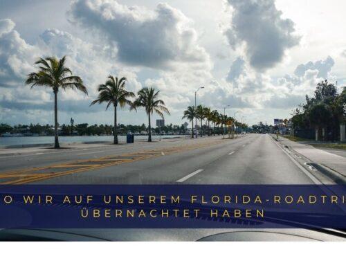 Palmengesäumte Küstenstraße in Florida – Symbolbild für unseren Roadtrip mit Hoteltipps entlang der Route