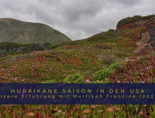 Titelbild zum Artikel "Unsere Erfahrung mit Hurrikane Francine 2024 in den USA"