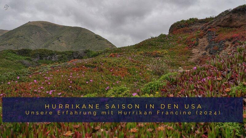 Titelbild zum Artikel "Unsere Erfahrung mit Hurrikane Francine 2024 in den USA"