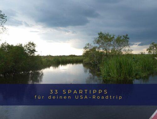 Bilder einer Airboattour durch die Sümpfe Louisianas