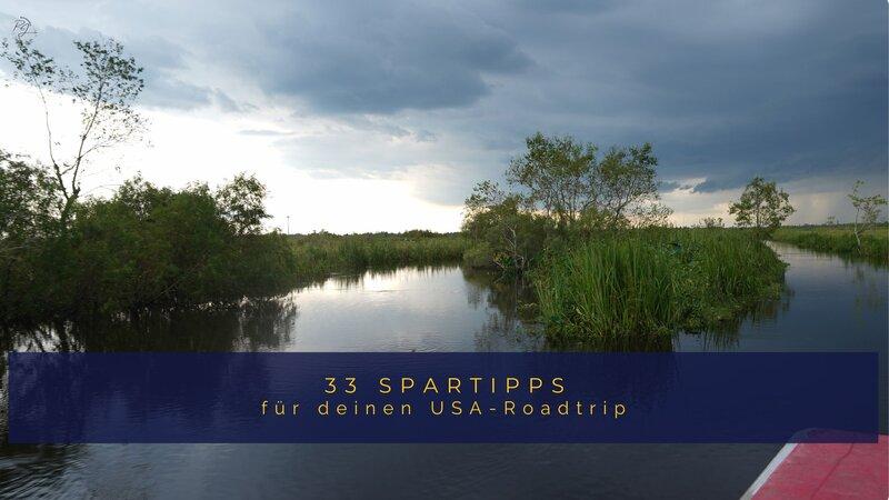 Bilder einer Airboattour durch die Sümpfe Louisianas