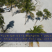 Florida Keys Roadtrip Tipps Cover zum Artikel