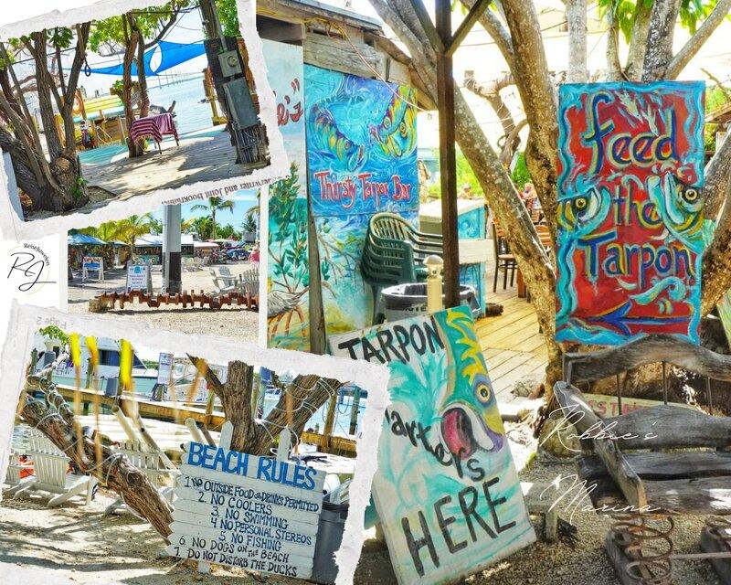 Touristen füttern riesige Tarpune am Steg von Robbie's Marina auf Islamorada, Florida Keys 2026, ein beliebtes Ausflugsziel mit Marktständen und Wassersport.