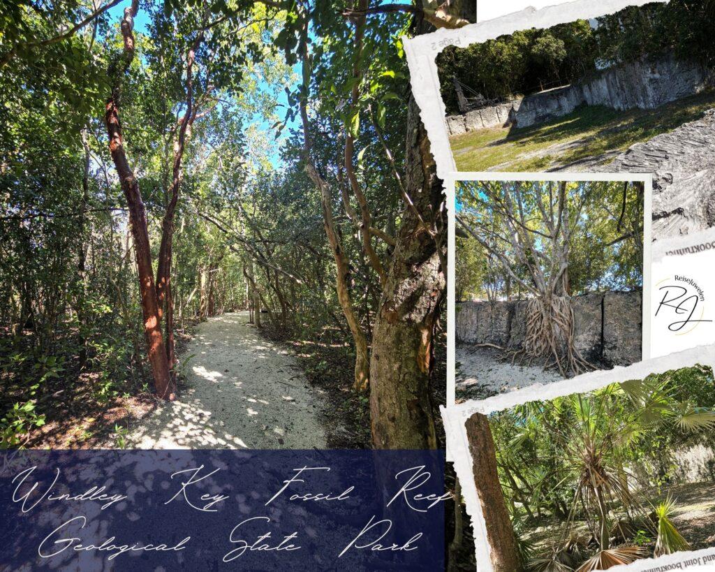 Collage mit Ansichten aus dem Windley Key Fossil Reef Geological State Park auf den Florida Keys 2026, zeigt fossile Korallenformationen im Steinbruch und die Natur Floridas.