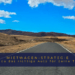 Titelbild für einen Reiseblog mit dem Text "Mietwagen-Strategie: So wählst du das richtige Auto für deine Traumroute" vor einer weiten, sonnigen Landschaft mit einer asphaltierten Straße, die in eine hügelige Wüstenregion führt.