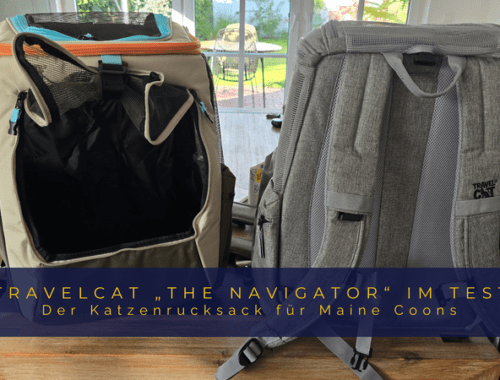 Titelbild zum Testbericht: Zwei Travelcat Katzenrucksäcke des Modells „The Navigator“ für Maine Coons nebeneinander auf einem Tisch platziert.