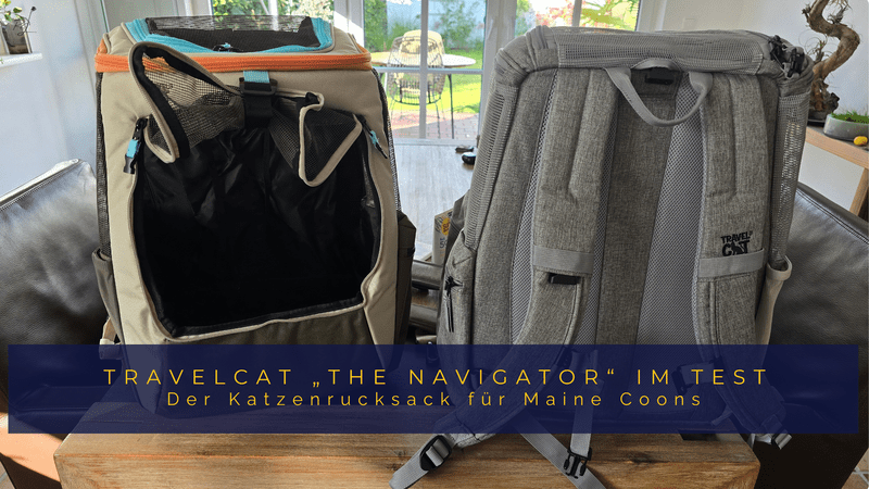 Titelbild zum Testbericht: Zwei Travelcat Katzenrucksäcke des Modells „The Navigator“ für Maine Coons nebeneinander auf einem Tisch platziert.