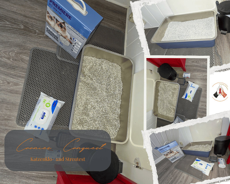 Fotocollage eines offenen Edelstahl-Katzenklos (ähnlich LucyBalu XL) im „Coonies Conquest“-Produkttest. Die Bilder zeigen die großzügige Wanne mit feinem Premiere-Klumpstreu, eine Nahaufnahme der Katzenpfoten auf der Wabenmatte von Petinstinct sowie das Zubehör und die Verpackung des Klumpstreus.
katzenklo maine coon
katzenstreu maine coon test
edelstahl katzenklo
