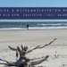 Beitragsbild zum Thema Ausflüge und Reiseaktivitäten planen am Strand von Florida